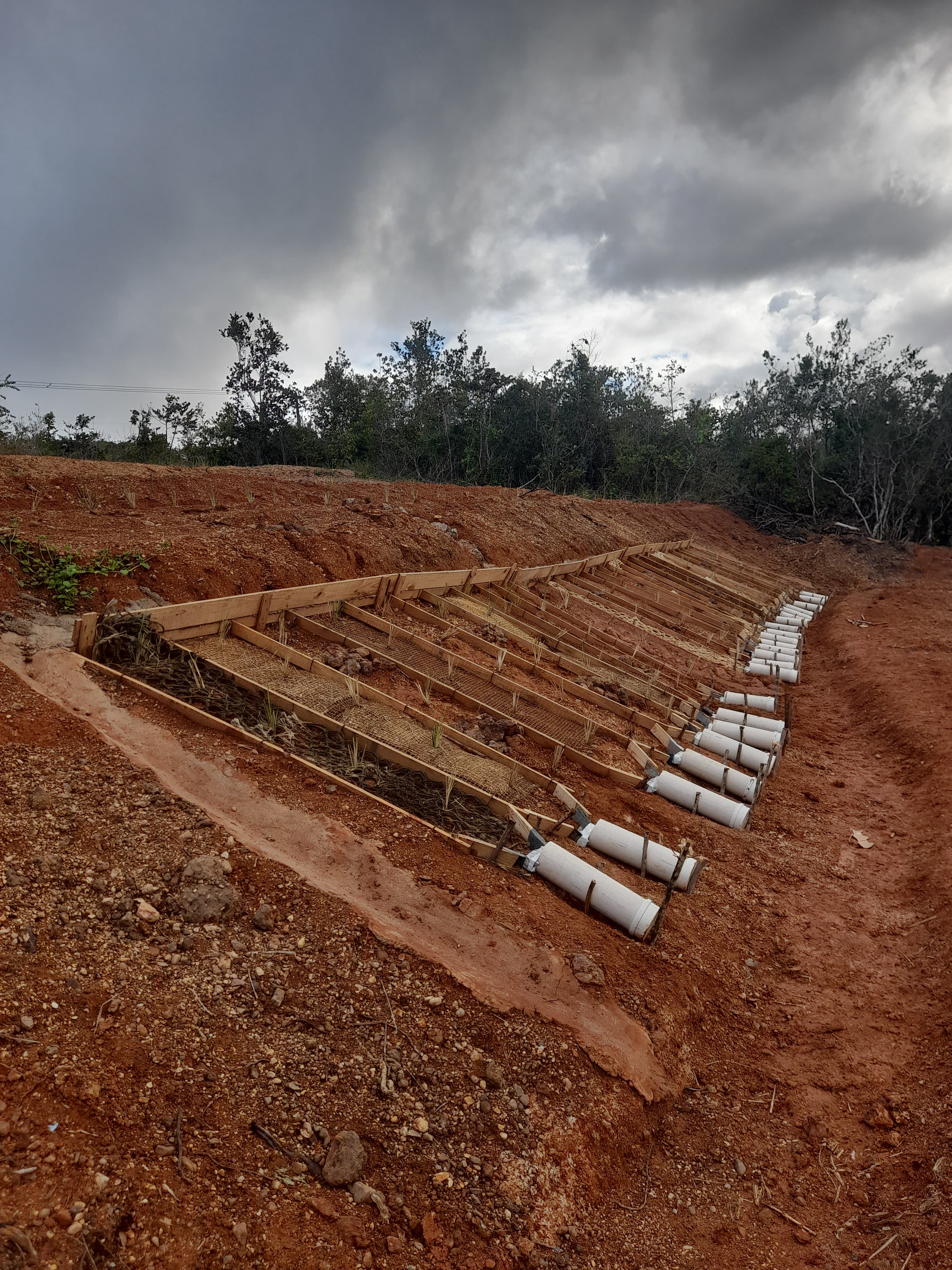 Talude exposto com erosão visível no Baixo São Francisco